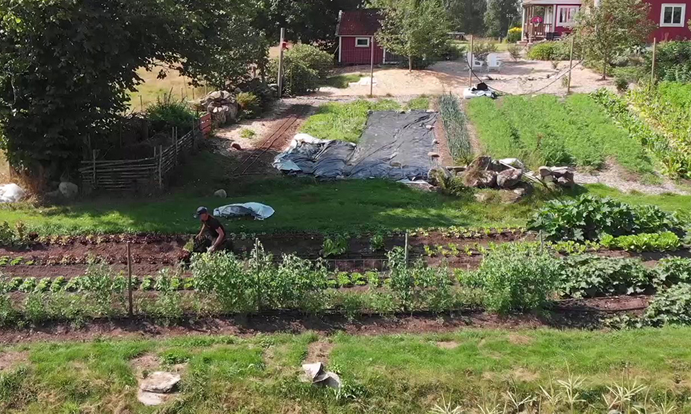 Anders Wilkes sits in the vegetable gardens at Lillegård Fårfarm.