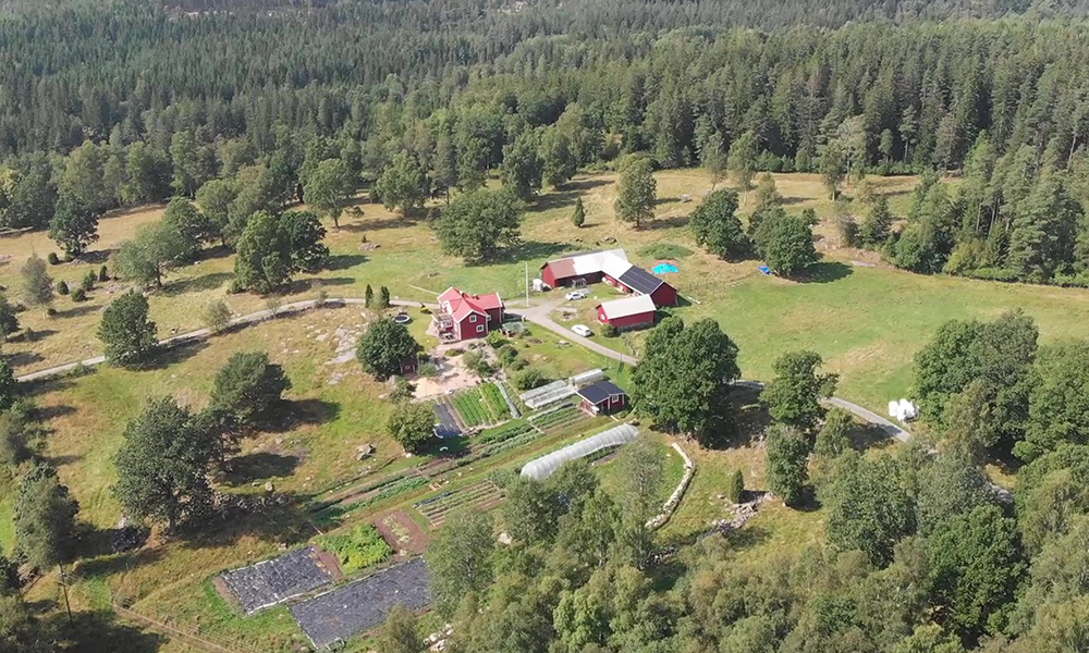 Aerial view of farm where you can see houses, plantations and forest.